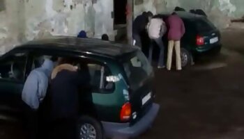 گربه سرو می بازی سکسی خوب شود